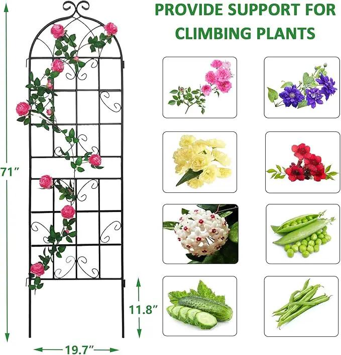 2 Pack Metal Garden Trellis for Climbing Plants 71" x 19.7" Outdoor Fence Rustproof Garden Trellis Support Roses Flower Lawn, Black 6FT by GreenHaven Gardens