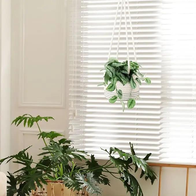 Flexzion Hanging Plant Basket Boho Cotton Rope Basket Indoor Hanging Planter, Up to 7" Flower Pot, Macrame Woven Modern Plant Holder, Storage Bin Organizer, Home Decor with 20" Hanging Rope, White by GreenHaven Gardens