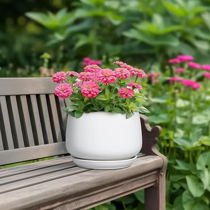 G EPGardening Ceramic Pots for Plants - 7 Inch Planter for Indoor Plants, Round Flower Pots with Drainage and Saucer, Modern Outdoor Planter, Garden Decor, Home Gifts, White by GreenHaven Gardens