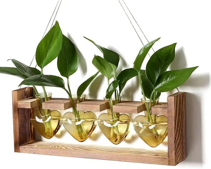 Plant Propagation Stations Heart Plant Terrarium Kit Gift for Women Plant Lover Glass Vases by GreenHaven Gardens