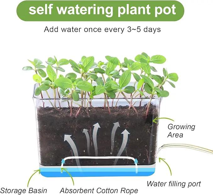 Self Watering Planter, 2 Pack African Violet Pots, Rectangular Self-Watering Clear Planters Box for Devil's Ivy, Spider Plants, Orchid. Flower Planting and Small Vegetables for Home Office by GreenHaven Gardens
