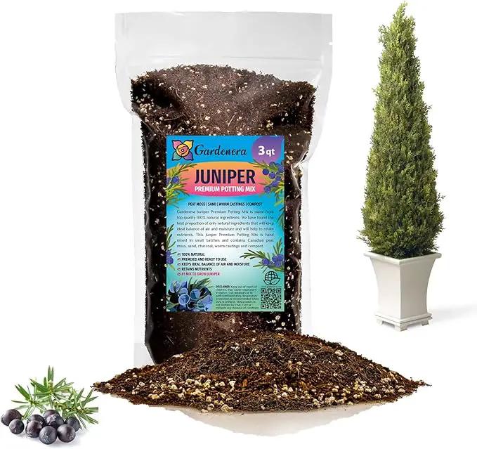 Premium Juniper Potting Soil Mix - Perfect Balance of Nutrients, Drainage, and Aeration for Healthy Juniper Trees - 3 Quart by GreenHaven Gardens