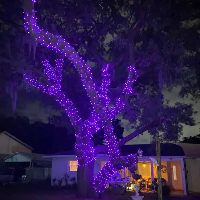 QITONG 4 Pack Purple Solar Fairy Lights, Each 33ft 100 LED Solar Christmas Lights, 8 Modes Solar Twinkle String Lights by GreenHaven Gardens