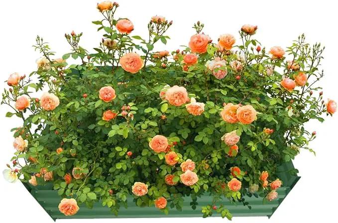 4x4x1ft Metal Raised Garden Bed Kit，Galvanized Garden Bed Box for Vegetables, Flowers, Herbs, and Succulents,120 Gallon Capacity - Green by GreenHaven Gardens