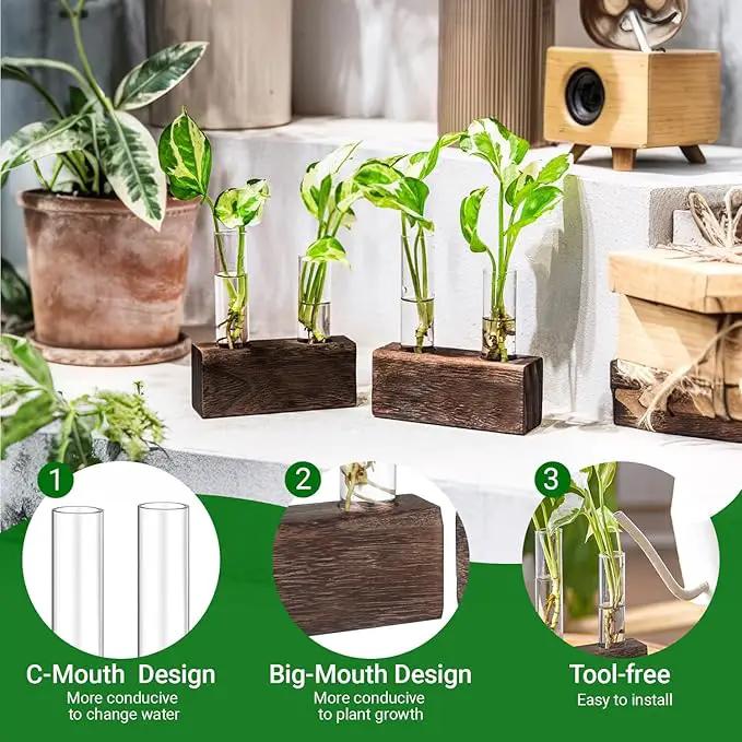Ivolador Plant Propagation Stations 4 Test Tube Plants Terrariums in Wooden Stand Gifts for Plant Lovers for Hydroponic Plants Office Home Decor Hydroponic Vase Gift Box 2 Sets by GreenHaven Gardens