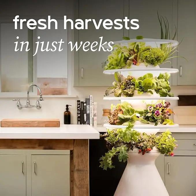 Farmstand Starter Kit with Glow Rings and 18 Seedling Credits | Small Hydroponic Growing System Kit | Vertical Garden Planter Tower | 4ft 3in Tall by GreenHaven Gardens