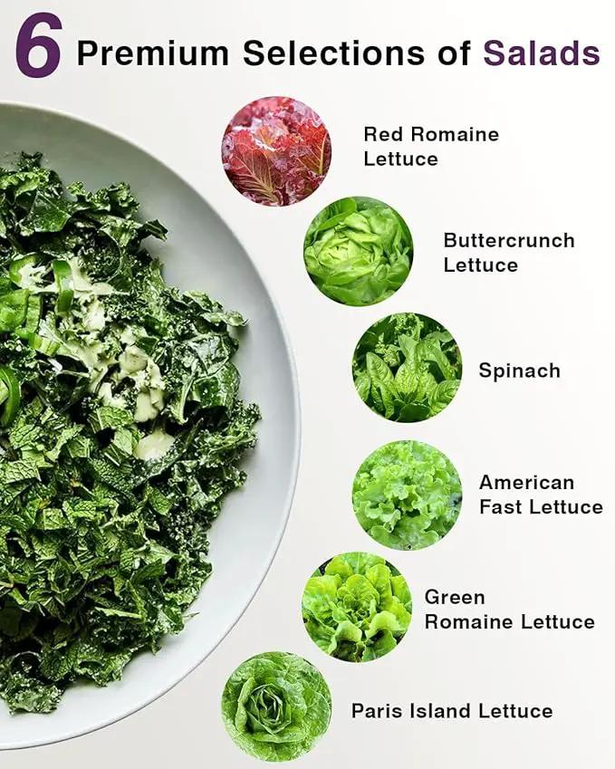Salad Greens Seed Pod Kit for AeroGarden, iDoo, Ahopegarden, MUFGA with Red/Green Romain/American Fast/Buttercrunch/Parris Island Lettuce, Spinach - Compatible with All Garden (12-Pod) by GreenHaven Gardens