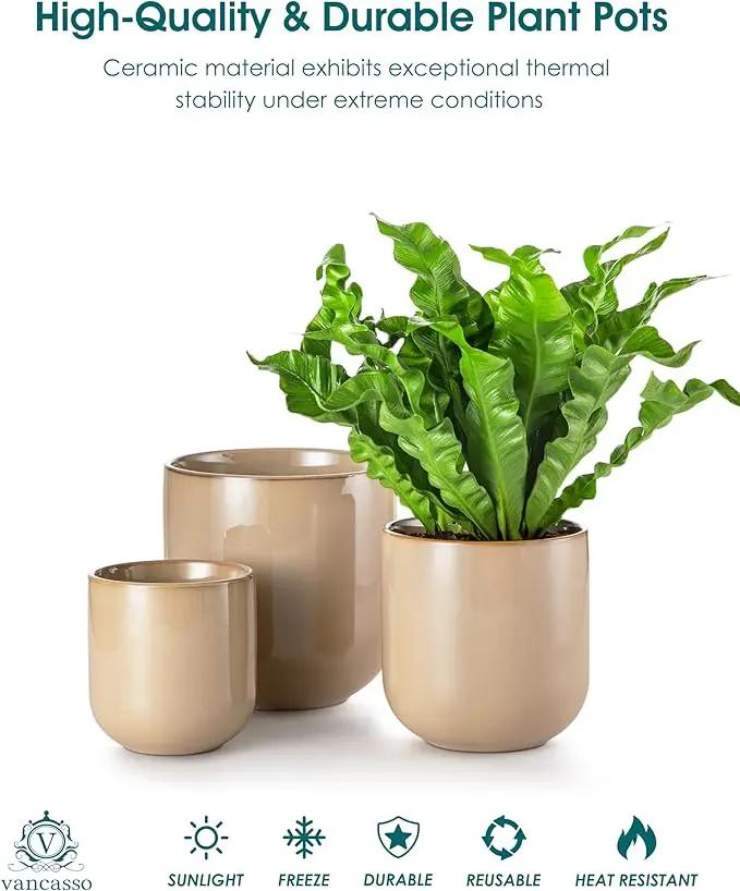 vancasso Ceramic Plant Pots, 4+5+6 inches, Set of 3, Planters with Drainage Hole, Flower Pots Planters Pots for Indoor Plants, Modern Indoor Decorative Garden Pot, Home Decor, Brown by GreenHaven Gardens
