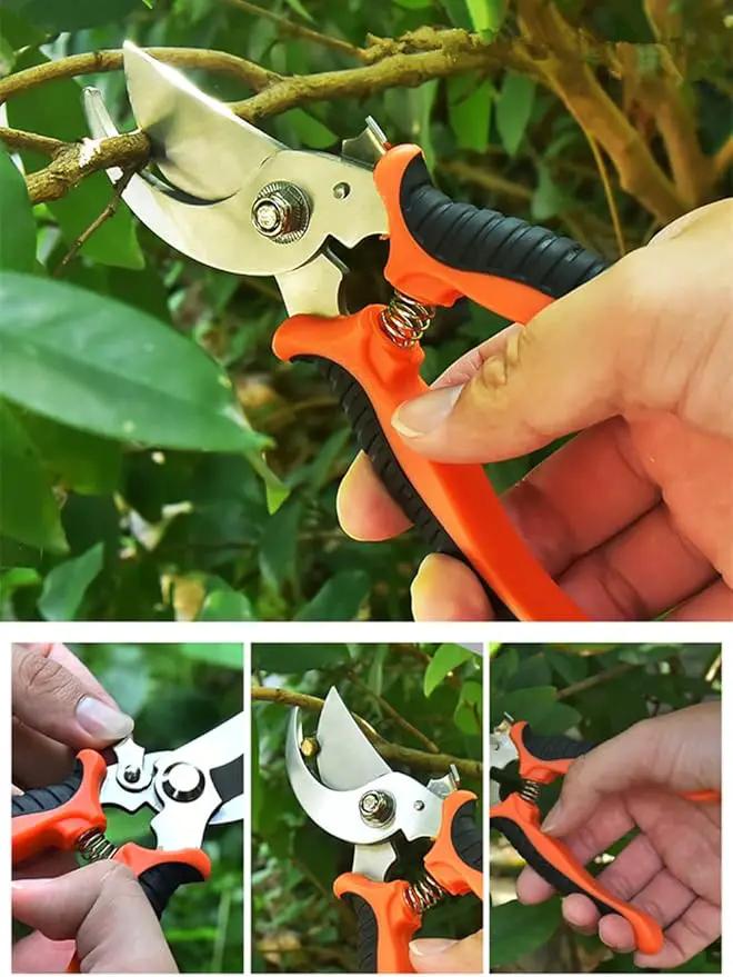 szhdxsy Garden Pruning Shears, 7.5" Professional Gardening Scissors, SK-5 Stainless Steel Blade Tree Secateurs, Manual Pruner for Plants, Gardening, Trimming, Garden Tools by GreenHaven Gardens