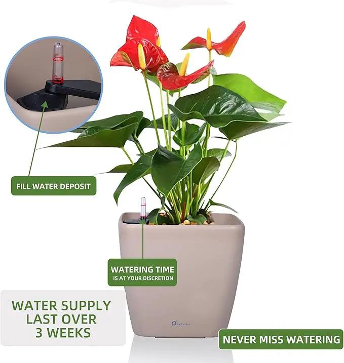 Dexceder 15x14 Self Watering Planter with Wheels Indoor Outdoor, Inner Mat Design, Thickened Large Floor Standing Flower Plant Pot with Water Level Indicator (Taupe Matte) by GreenHaven Gardens