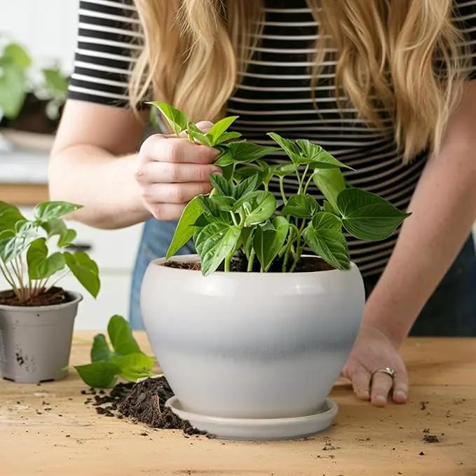 Planter Pot 6 Inch - Ceramic Plant Pot with Drainage Hole and Saucer, Round Glaze Succulent Pot for Plants, White by GreenHaven Gardens
