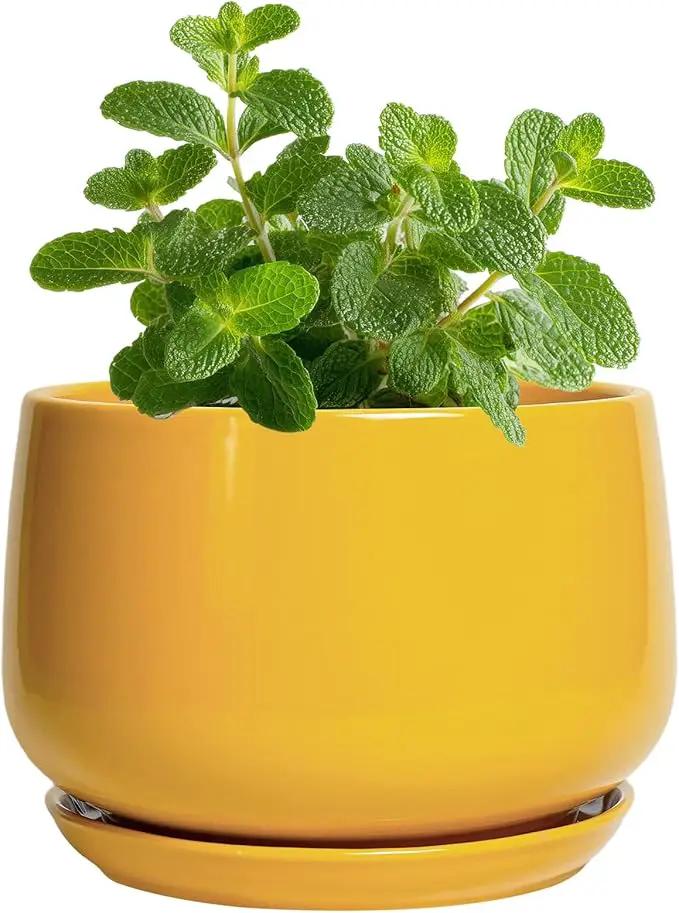 G EPGardening 4 Inch Ceramic Planter - Succulent Pots for Plants Indoor Outdoor, Small Plant Pots with Drainage Hole & Saucer, Round Planter, Modern Flower Pot, Home Decor, Plant Lover Gift, Yellow by GreenHaven Gardens