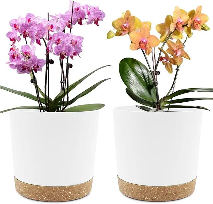 QCQHDU 8 inch Plant Pot, 2 Pack Planters for Indoor Plants with Drainage Holes & Saucer, Outdoor Flower Pots Home Garden Modern Decor by GreenHaven Gardens