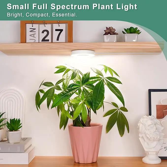LORDEM Grow Light for Indoor Plants, 48 LEDs Ceiling Full Spectrum Plant Light, 5V Corded Growing Lamp with 4/8/12H Auto Switch, 4 Dimmable Brightness Levels, Ideal for Small Plants by GreenHaven Gardens