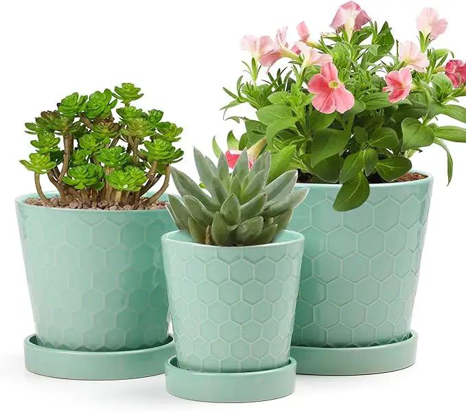 EFISPSS Ceramic Plant Pots –4”+5”+6” inch Set of 3, Planters with with Drainage Holes and Ceramic Tray, Indoor Flower Pot Gardening Home Desktop Office Windowsill Decoration Gift(Mint Green) by GreenHaven Gardens