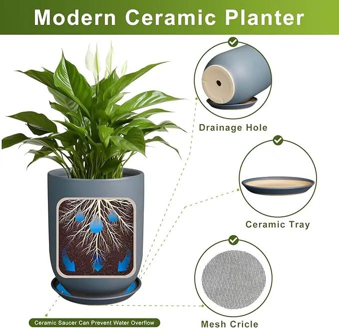 10 Inch Plant Pot - Ceramic Pot for Indoor Plants Outdoor Planter Large Flower Pot with Drainage Hole and Saucer Cylinder Gray by GreenHaven Gardens