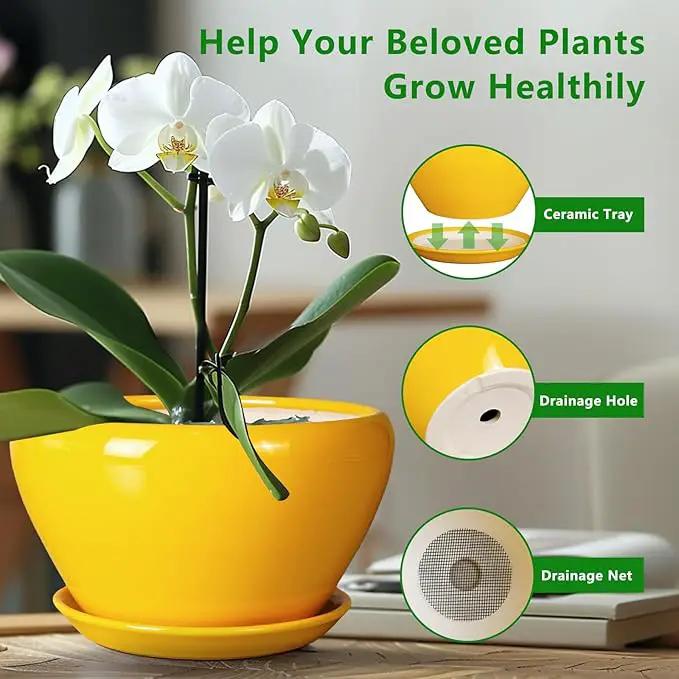 Indoor Planter 11 Inch - Decorative Mid-Century Large Ceramic Plant Pot for Outdoor Plants with Drainage Hole and Saucer, Home Balcony House Garden Patio Office Room Decor, Yellow by GreenHaven Gardens