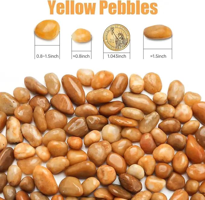 5 Lbs River Rocks for Plants,0.8-1.5 Inch Decorative Ornamental Pebbels, High Polished Stones for Garden Landscaping, Smooth Gravel Filler for Outdoor Plants, Succulents, Fish Tank and Vases, Yellow by GreenHaven Gardens