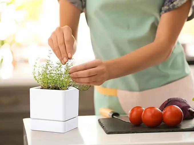 4 Inch Herb Planter Pot, Plastic Planter with Drainage Holes and Saucer, Modern Decorative Gardening Pot for Indoor Plants, Flowers, Herbs, Succulents, White, Set of 1, 76-Y-A-1 by GreenHaven Gardens