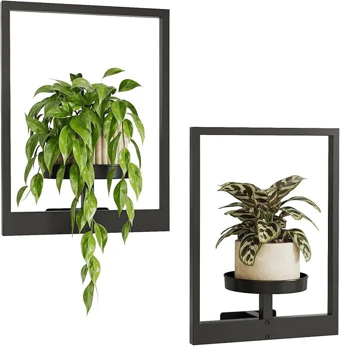 Bamworld Wall Planters for Indoor Plants Metal Wall Plant Holder Plant Hanger Wall Decor Wall-Mounted Wall Hanging Planters Outdoor Plant Rack Black 2 Pack (Patent Design) by GreenHaven Gardens