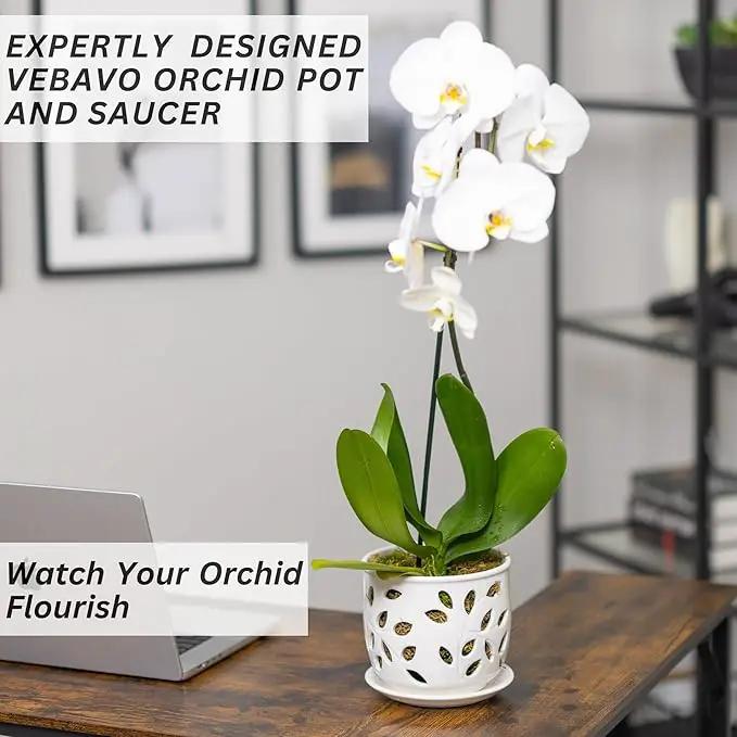 Orchid Pot with Holes & Saucer Ceramic 5.25 in. Indoor or Outdoor Large Pot for Orchid Care & Root Health with Precise Aeration & Drainage – Durable for Repotting or New Plants by GreenHaven Gardens