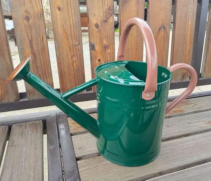 Metal Watering Can for Outdoor and Indoor Plants, Watering Can Decor, 1 Gallon (NewGreen) by GreenHaven Gardens