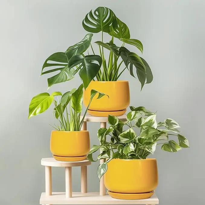 G EPGardening Ceramic Flower Pot - 9 Inch Plant Pots for Indoor Outdoor Plants, Round Ceramic Planter with Drainage and Plant Saucer, Modern Planter, Home Office Decor, Garden Gifts, Yellow by GreenHaven Gardens