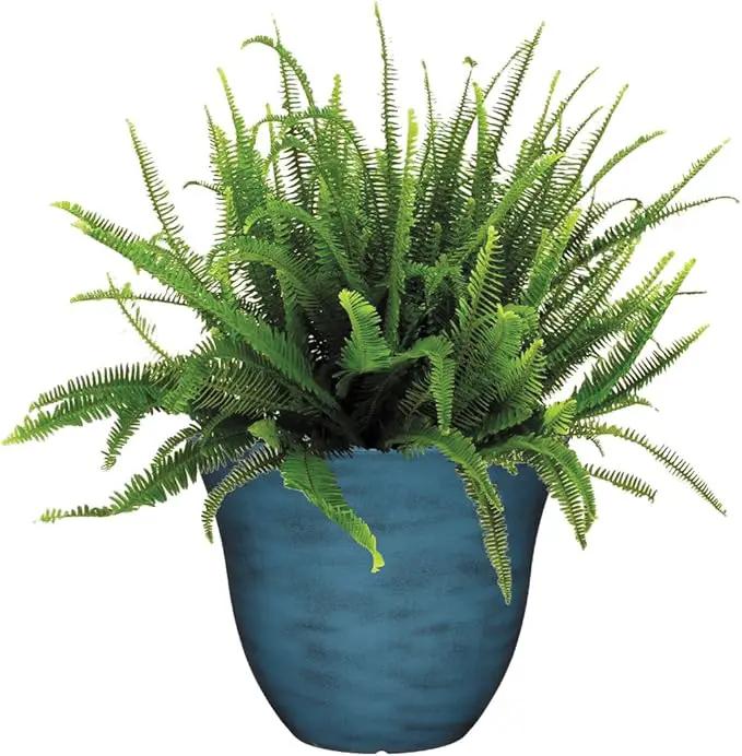 Classic Home and Garden Honeysuckle Resin Flower Pot Planter, Blue Jean, 15" by GreenHaven Gardens