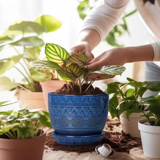 G EPGardening Pot for Plants 5 Inch - Ceramic Planter for Indoor Plants Outdoor, Succulent Pot with Drainage Hole and Saucer, Modern Home Garden Decor, Blue by GreenHaven Gardens