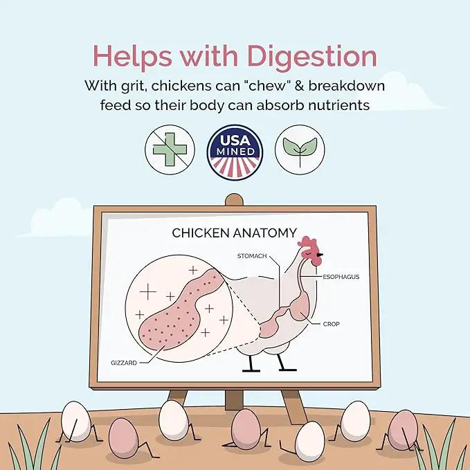 Chicken Grit for Layer & Grower Chickens Age 8-20+ Weeks - 100% Natural Mineral Chicken Grit Quartzite, Poultry Grit, USA Mined, 50 lbs by GreenHaven Gardens