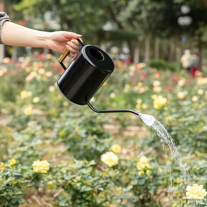 L&H Unico Stainless Steel 62oz Watering Can Long Spout Plant Misters for Indoor Plant Watering or Outdoor Gardening with 2Pcs Removable Spray Spout for Flowers Black by GreenHaven Gardens