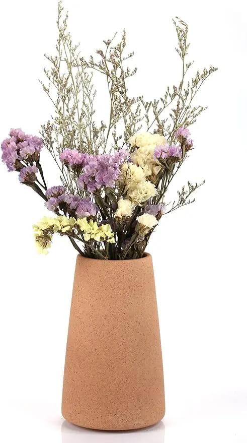 Simple Vase for Flowers Plants, Matte Vases for Modern Table Shelf Home Decor Wedding Boho Decor, 6" H Frosted Elegant Ceramic Vase for Pampas Grass Fluffy Stem Bouquet Lavender Flowers (Brown, 2) by GreenHaven Gardens