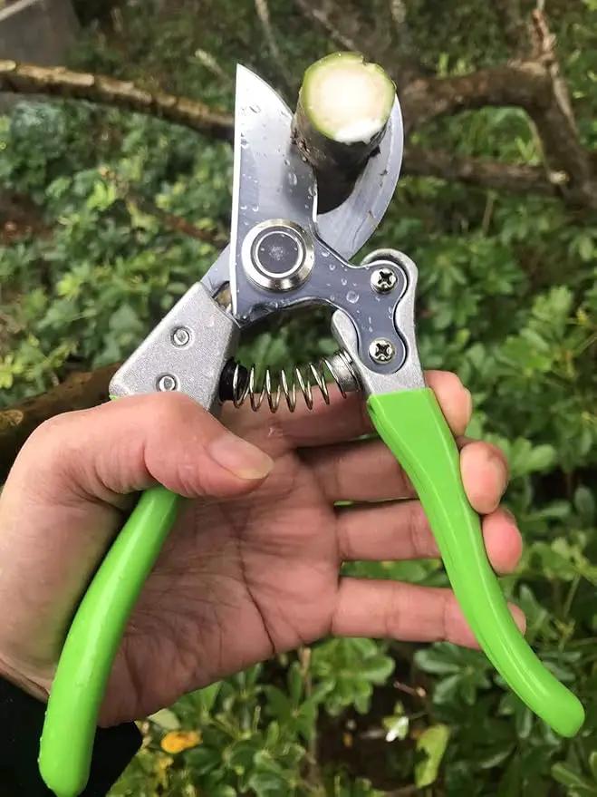 Garden Shears, Japanese Pruning Shears for Heavy Duty, Flowers Herbs Grapes Plant and Branch Cutters, Clippers, Trimmers, Scissors (Green) by GreenHaven Gardens