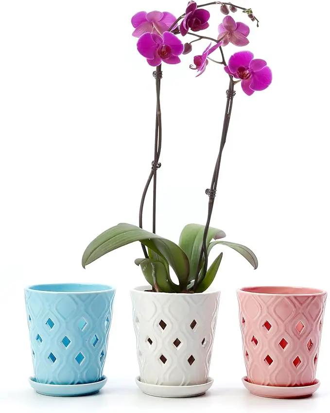 Whispering Winds Ceramic 5 x 6 Inch Orchid Pot with Holes & Saucer for Aeration and Drainage - Decorative Orchid Pots for Repotting, Prevent Over Watering & Root Rot (Carrara White) by GreenHaven Gardens