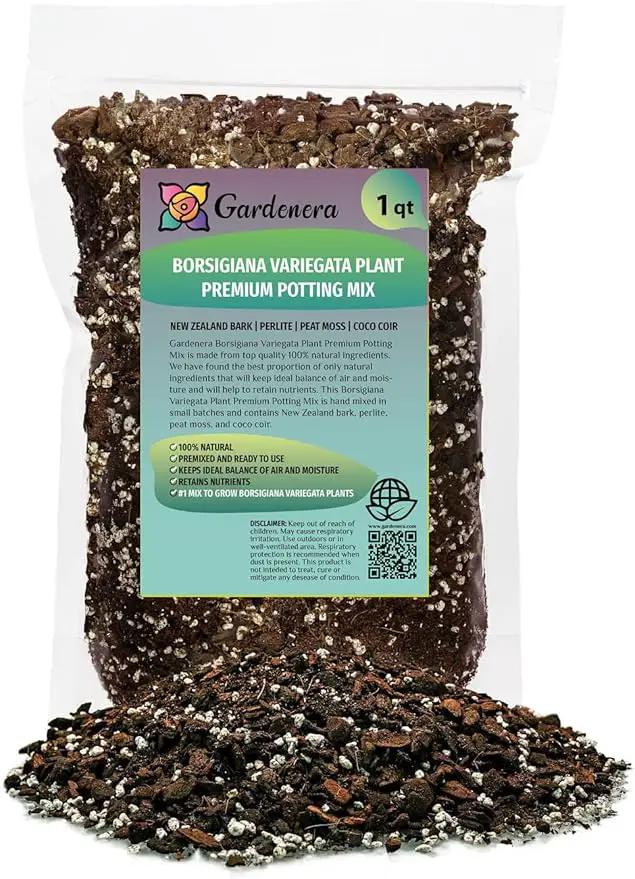 Monstera Borsigiana Potting Mix - Optimal Nutrients for Vibrant Growth - 1 Quart by GreenHaven Gardens