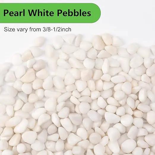 10 lbs White Garden Pebbles for Plants, 3/8" Small Plant Rocks for Pots Indoor, Decorative Pea Gravel for Succulents, Bamboo, Terrarium, Landscaping, Garden by GreenHaven Gardens
