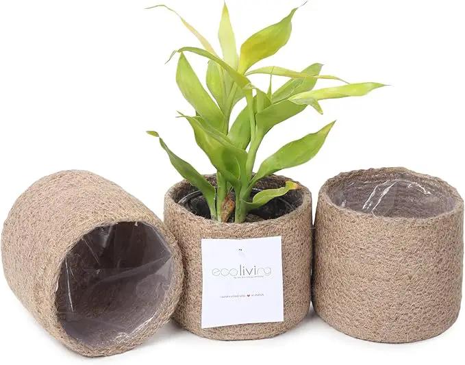 Jute Planter Basket-Woven Jute Rope Covers for Decorating Indoor/Outdoor Succulents, Small Plant Pots-Set of 3-Multi-Purpose Storage Bins 4.5 Inches -Modern Style Decor -Natural Jute by GreenHaven Gardens