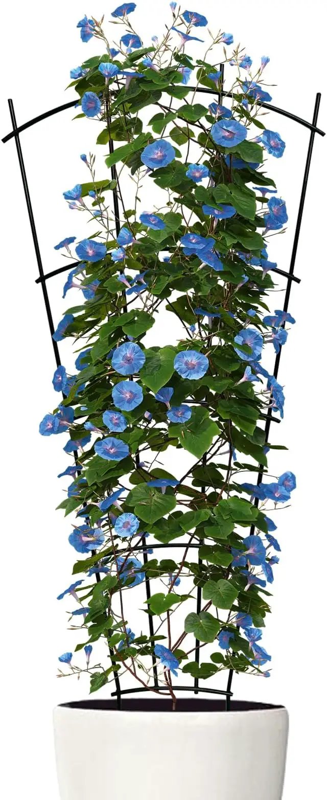 4 Pack 32'' Indoor Plant Trellis for Potted Plants Climbing Outdoor Metal Garden Trellis Houseplants Flowers Vine Ivy,Fan Shape, Black by GreenHaven Gardens