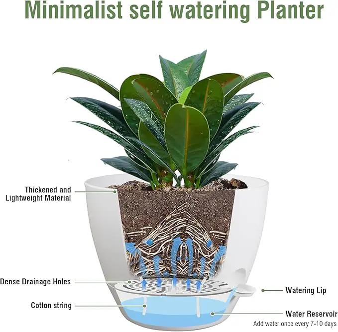 12 inch Large Self Watering Pots for Indoor Outdoor Plants, Plant Pots with Mesh Drainage Holes for Garden House Plants, Plastic Planters with Reservoir for Flower Plants, White by GreenHaven Gardens