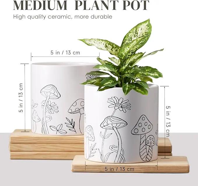 Mushroom Ceramic Plant Pot Set of 2, 5 Inch Modern Stylish White Round Flower Pots with Drainage Holes, Planter Decor for Indoor-Outdoor Plants Spider Plant, Pothos, Gift for Woman and Friends by GreenHaven Gardens