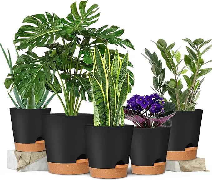 GARDIFE Plant Pots 7/6.5/6/5.5/5 Inch Self Watering Planters with Drainage Hole, Plastic Flower Pots, Nursery Planting Pot for All House Plants, African Violet, Flowers, and Cactus,Black by GreenHaven Gardens