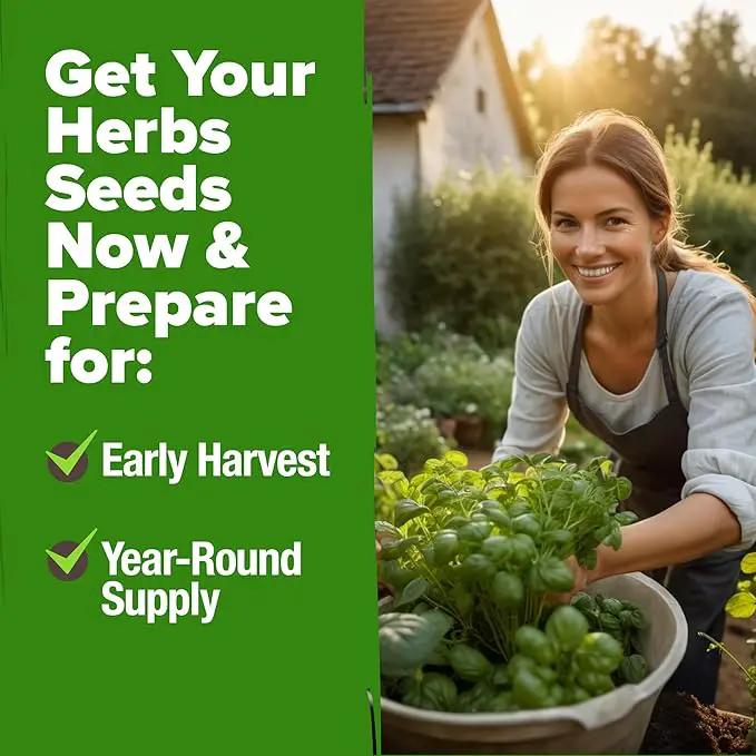 HOME GROWN 20 Herb Seeds for Planting 6,000+ Non-GMO Heirloom Seeds | Extra Large Variety Pack Herb Kit – Indoor Outdoor & Hydroponic | Culinary Seed Set | Grow Your Own Herbs | Gardening Gift by GreenHaven Gardens
