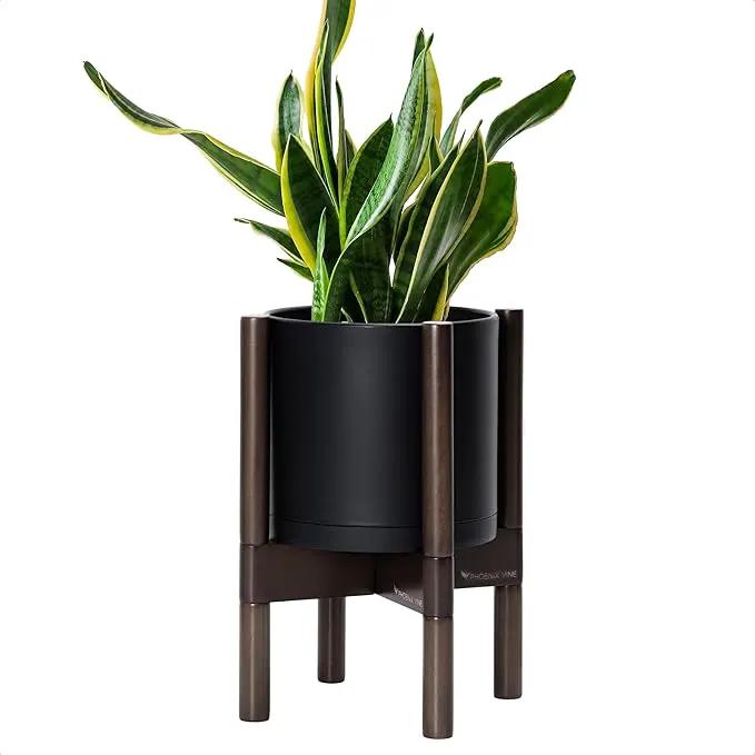 D'vine Dev Planter Pot with Stand - 8 Inch Plastic Cylinder Flower Pot with Wood Planter Holder for Indoor, Matte Black Pot + Walnut Color Stand, 55-C-I-2 by GreenHaven Gardens