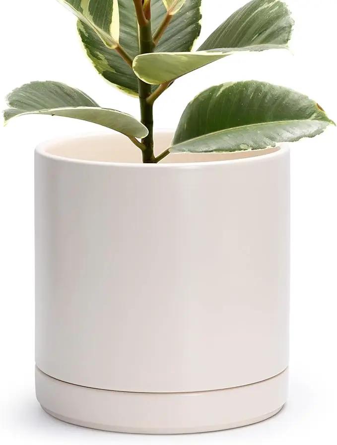 D'vine Dev 10 Inch Ceramic Planter Pot with Drainage Hole and Saucer, Indoor Cylinder Round Planter Pot, Oatmeal, 94-O-E-8 by GreenHaven Gardens