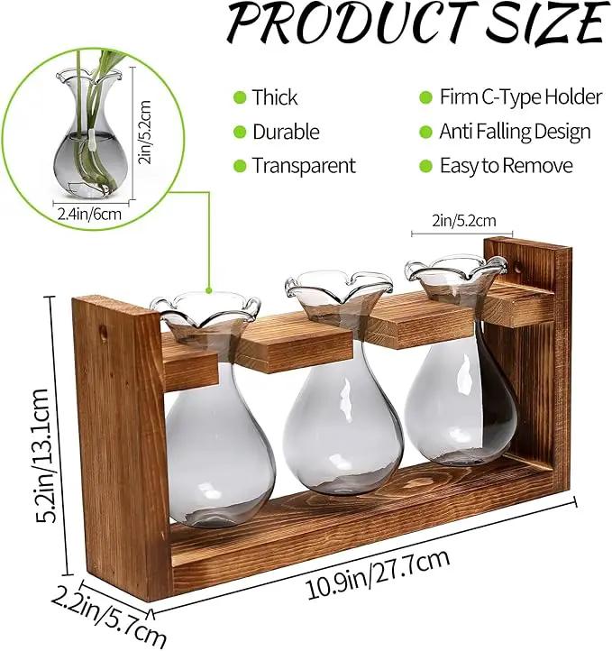 Plant Propagation Station Plant Terrarium Unique Birthday Gifts for Women Plant Lovers Home Office Decor Planter with Wooden Stand - 3 Bulb Glass Vase by GreenHaven Gardens