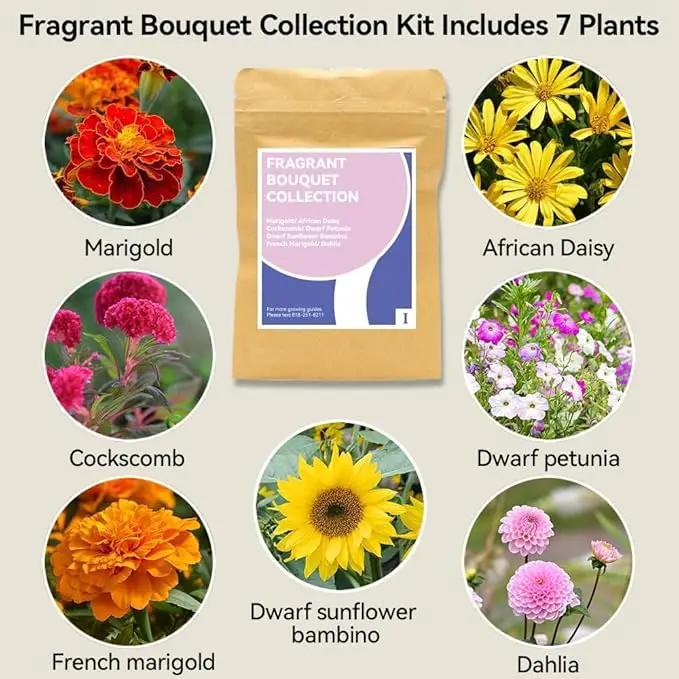 inbloom Fragrant Bouquet Seed Pod Kit for AeroGarden, iDoo, Ahopegarden, GARDENCUBE, 12 Pods (350+ Flower Seeds with Sunflower, Petunia, Mexican Marigold, Cockscomb, French Marigold, Dahlia) by GreenHaven Gardens