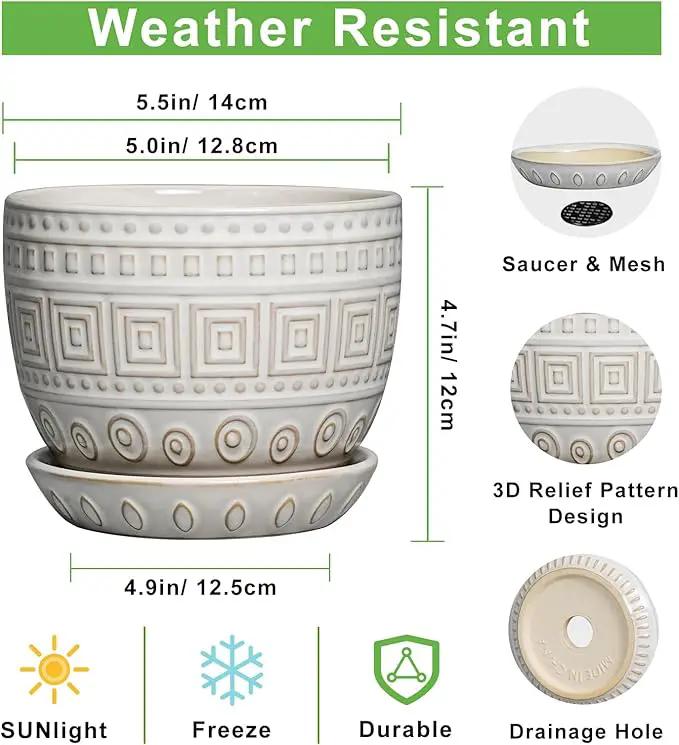 G EPGardening Ceramic Pots for Plants - 5 Inch Plant Pot Indoor with Drainage Hole and Saucer, Outdoor Flower Pot, Decorative Round Planter for Succulent Orchid Snake Plants, White by GreenHaven Gardens