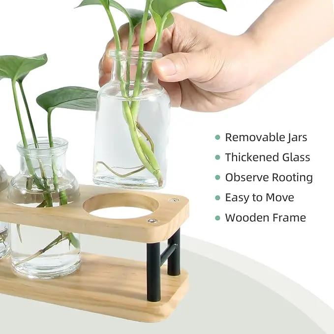 THYGIFTREE Plant Propagation Station with Wooden Stand, Propagation Vases Glass Planters for Indoor Plants Hydroponic Propagating Jars Home Office Decor, Plant Lover Gifts by GreenHaven Gardens