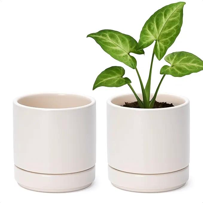 D'vine Dev Set of 2 Plants Pots, 4.7 Inch Ceramic Planter Pot for Plants with Drainage Hole and Saucer, Oatmeal, 94-V-B-8 by GreenHaven Gardens