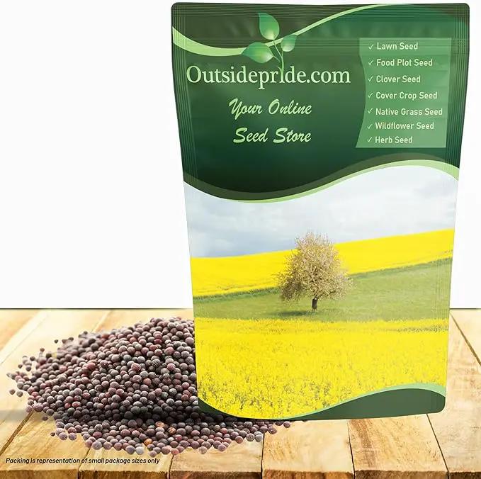 Outsidepride White Mustard Seeds for Planting - 5 lb Annual Cover Crop Seeds w/Deep Root System, High Protein Forage, Ideal for Soil Fertility, Crop Rotations, & Livestock Nutrition by GreenHaven Gardens